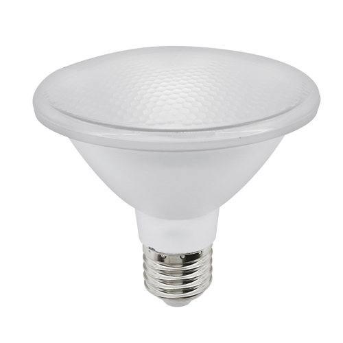 PAR 30 LED IP65 10W