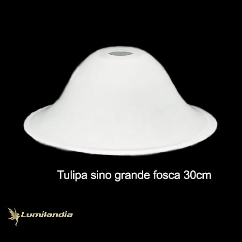 Tulipa Sino de Vidro Grande para Luminária