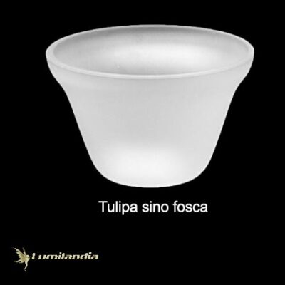 Tulipa Sino de Vidro Pequeno para Luminária