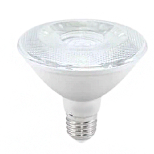 PAR 30 LED 10W IRQ95 IP65