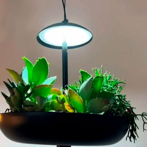 Pendente Plantae